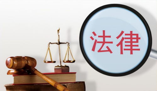 城管執(zhí)法悲劇與化工產(chǎn)品的社會責任反思