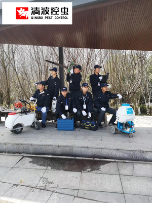 鎮(zhèn)江殺蟲(chóng)公司 全方位害蟲(chóng)治理服務(wù)，守護(hù)您的健康與安寧